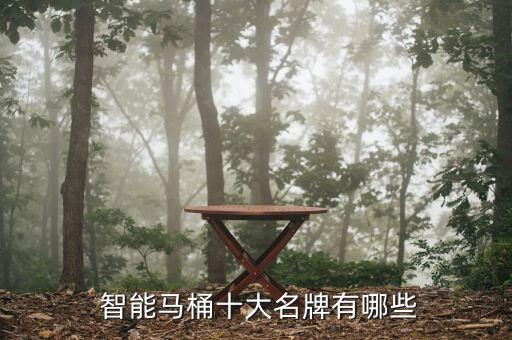  智能馬桶十大名牌有哪些