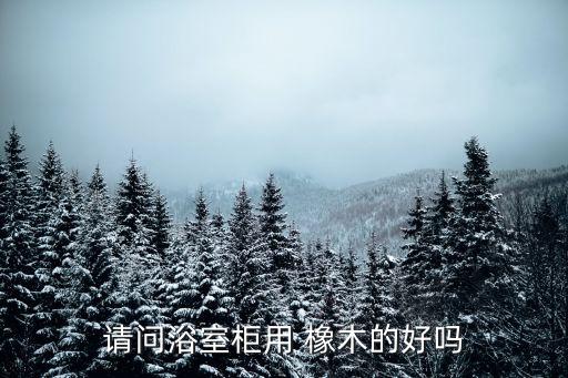 請(qǐng)問(wèn)浴室柜用 橡木的好嗎
