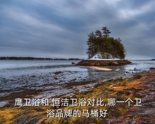 鷹衛(wèi)浴恒潔衛(wèi)浴二者的價(jià)格,衛(wèi)浴品牌琳瑯滿目我國(guó)品牌最受歡迎