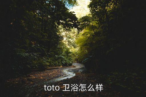toto衛(wèi)浴配件,關(guān)于toto你必須知道的五件事