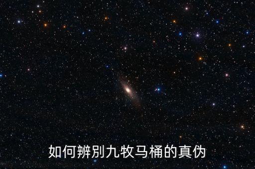 如何辨別九牧馬桶的真?zhèn)? class=