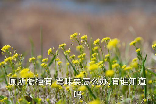 衛(wèi)浴有霉味,家里潮濕容易發(fā)霉可放一些化石灰消毒