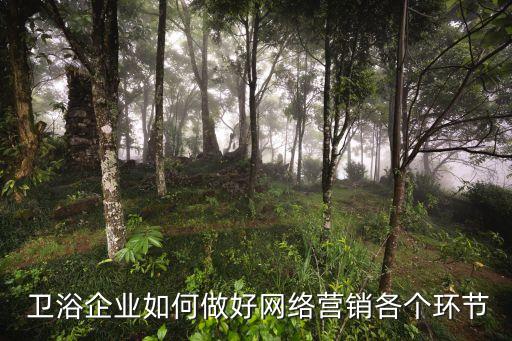  衛(wèi)浴企業(yè)如何做好網(wǎng)絡(luò)營銷各個環(huán)節(jié)