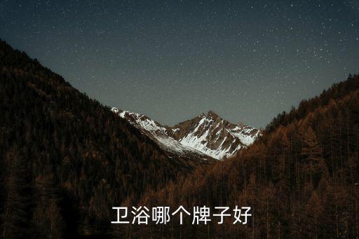  衛(wèi)浴哪個(gè)牌子好