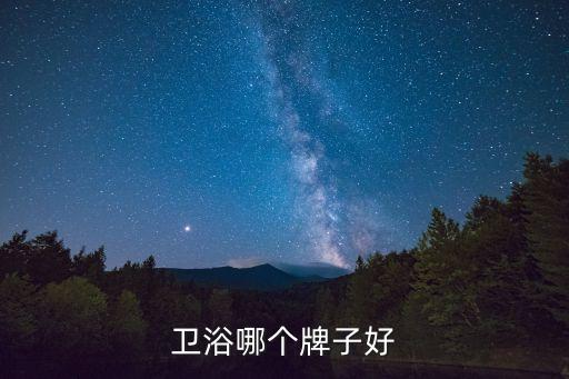 衛(wèi)浴哪個牌子好