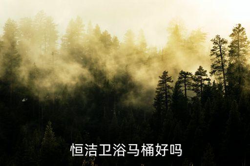  恒潔衛(wèi)浴馬桶好嗎