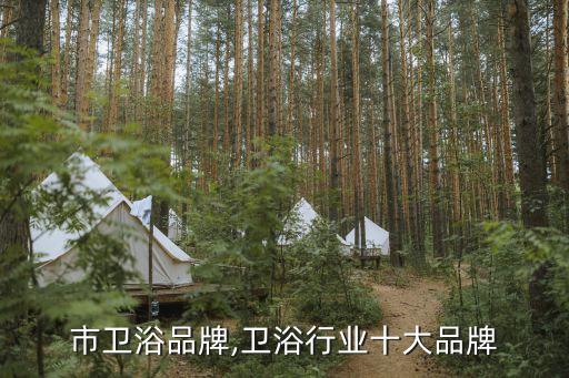 泉州市衛(wèi)浴品牌,衛(wèi)浴行業(yè)十大品牌