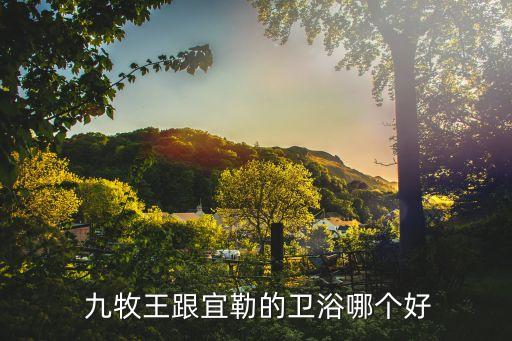 九牧王衛(wèi)浴混水閥,樂毅衛(wèi)浴是國內(nèi)一線品牌提供優(yōu)質(zhì)衛(wèi)浴產(chǎn)品