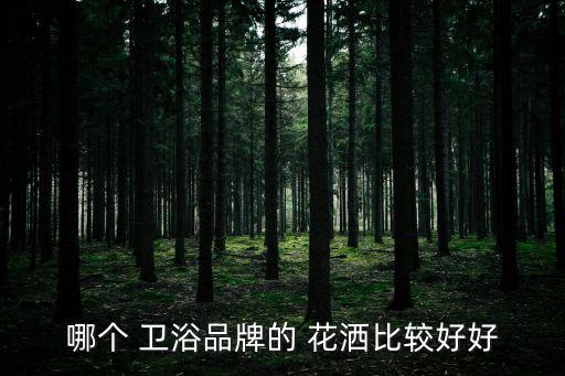 科洛奇衛(wèi)浴花灑裝飾蓋,花灑知多少?問與答（20）