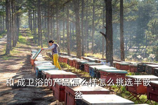 和 成衛(wèi)浴的產(chǎn)品怎么樣怎么挑選半嵌盆