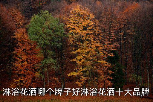 淋浴花灑哪個(gè)牌子好淋浴花灑十大品牌