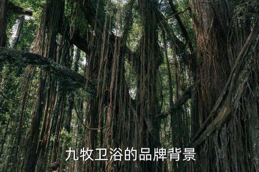 九牧衛(wèi)浴國際有限公司,比較美泰衛(wèi)浴還是九牧衛(wèi)浴好!