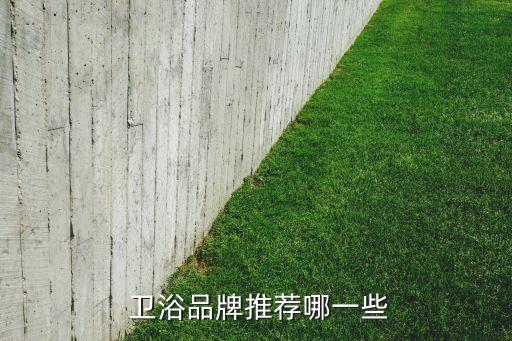  衛(wèi)浴品牌推薦哪一些