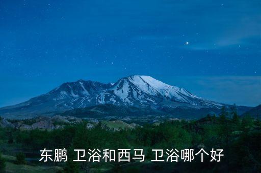 東鵬衛(wèi)浴1431價(jià)格,東鵬衛(wèi)浴知多少?問與答（13）