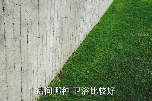 請(qǐng)問哪種 衛(wèi)浴比較好