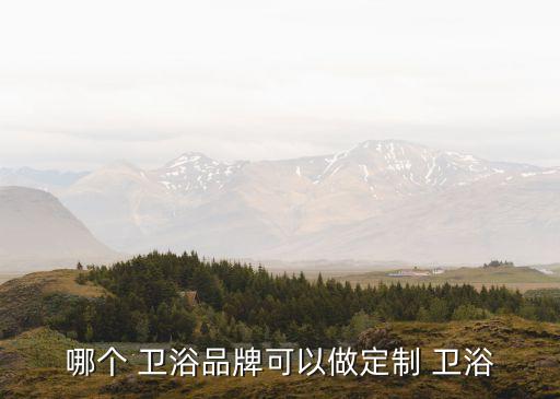 德國(guó)衛(wèi)浴品牌 可以定做,如何定制衛(wèi)浴?注意事項(xiàng)