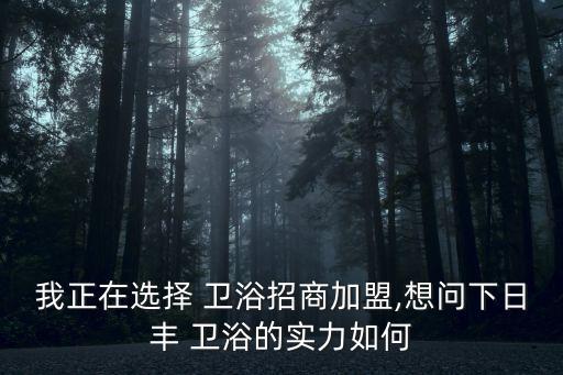 我正在選擇 衛(wèi)浴招商加盟,想問下日豐 衛(wèi)浴的實(shí)力如何