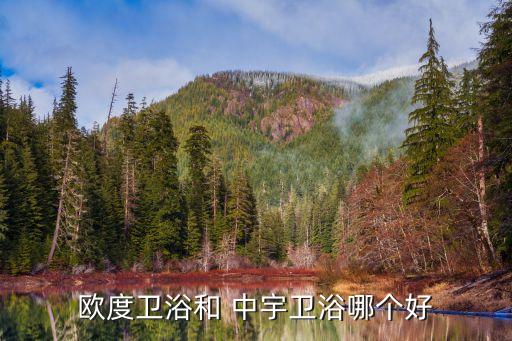 歐度衛(wèi)浴和 中宇衛(wèi)浴哪個(gè)好