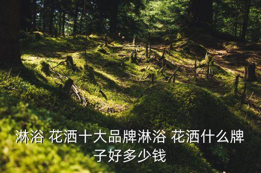 浙江衛(wèi)浴花灑品牌排行,花灑10大品牌排行榜出爐