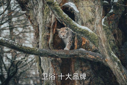  衛(wèi)浴 十大品牌
