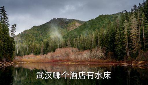 武漢哪個酒店有水床