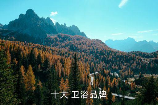 雜牌衛(wèi)浴都有哪些牌子,如何挑選中國十大衛(wèi)浴品牌?