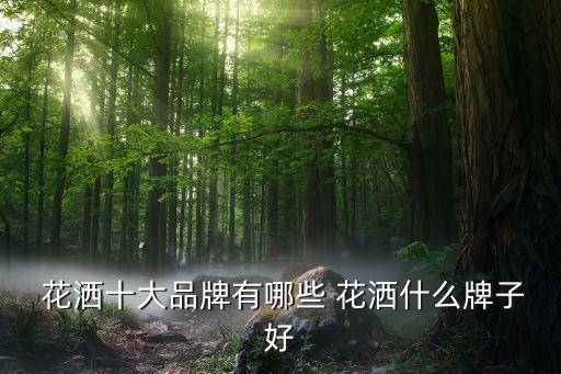  花灑十大品牌有哪些 花灑什么牌子好