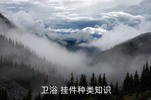 衛(wèi)浴掛件安裝收費標(biāo)準(zhǔn),衛(wèi)生間裝修須注意什么?