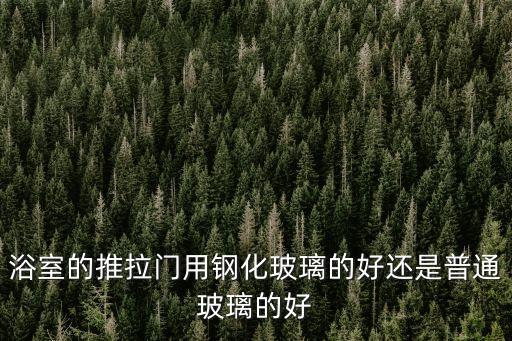 鋼化衛(wèi)浴門,浴室門采用雙層鋼化玻璃隔音耐久耐用