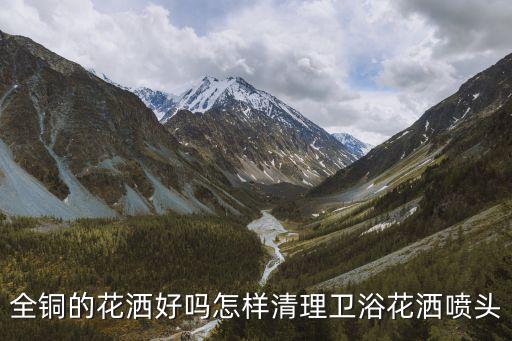 全銅的花灑好嗎怎樣清理衛(wèi)浴花灑噴頭