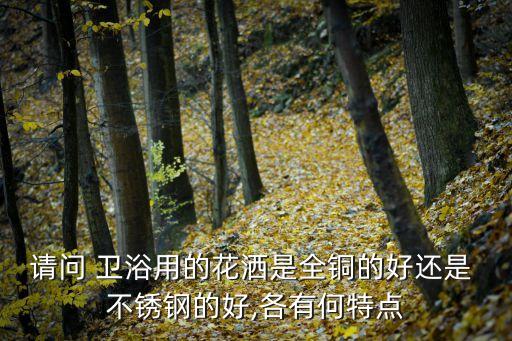 請(qǐng)問 衛(wèi)浴用的花灑是全銅的好還是 不銹鋼的好,各有何特點(diǎn)