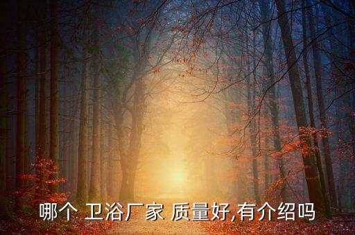 哪個 衛(wèi)浴廠家 質(zhì)量好,有介紹嗎
