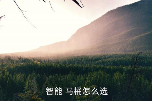 中宇衛(wèi)浴智能馬桶,智能馬桶要選什么?
