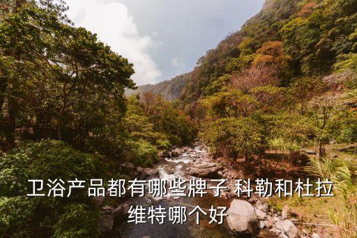  衛(wèi)浴產(chǎn)品都有哪些牌子 科勒和杜拉維特哪個好