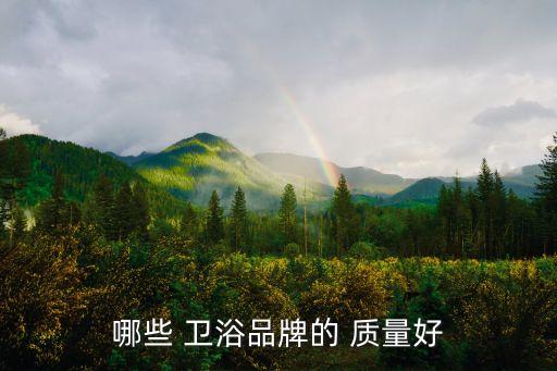 哪些 衛(wèi)浴品牌的 質(zhì)量好