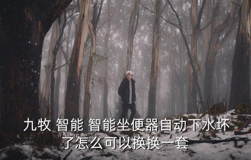 九牧智能衛(wèi)浴,馬桶自動(dòng)壞了怎么辦?