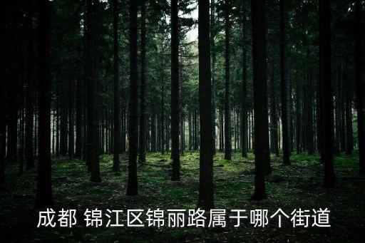 成都衛(wèi)浴錦江區(qū),成都錦江區(qū)有哪些景點?