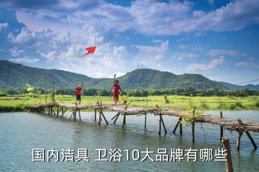國內(nèi)潔具 衛(wèi)浴10大品牌有哪些