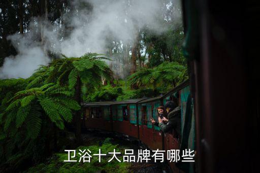 品科衛(wèi)浴是品牌不,朗鯨衛(wèi)浴入選中國(guó)衛(wèi)浴十大品牌