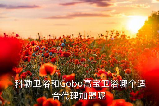  科勒衛(wèi)浴和Gobo高寶衛(wèi)浴哪個(gè)適合代理加盟呢