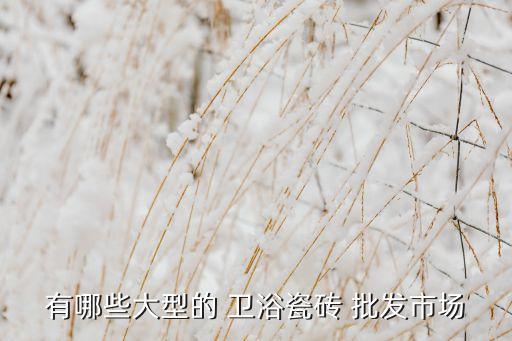 開平衛(wèi)浴批發(fā)城在那里,開平市場案例查看百度企業(yè)信用平臺(tái)