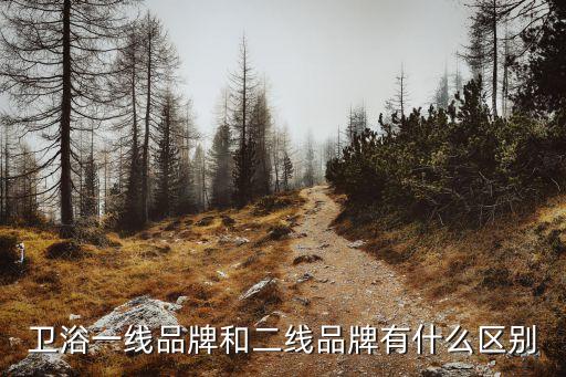 賓麗衛(wèi)浴是幾線品牌,從外觀和配件就能看出來一線衛(wèi)浴品牌
