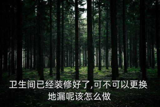 衛(wèi)生間已經(jīng)裝修好了,可不可以更換 地漏呢該怎么做