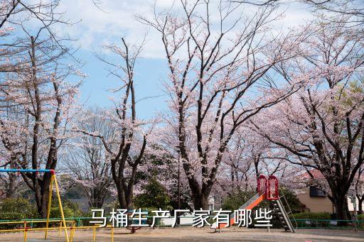 馬桶生產(chǎn)廠家有哪些