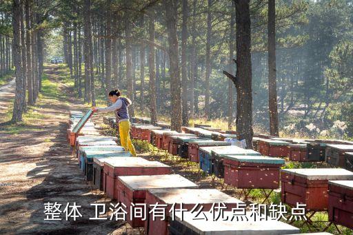 宜家安裝衛(wèi)浴好不好看圖片