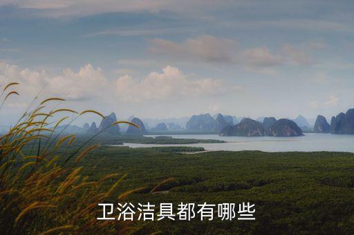 衛(wèi)浴潔具都有哪些