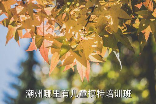  潮州哪里有兒童模特培訓(xùn)班