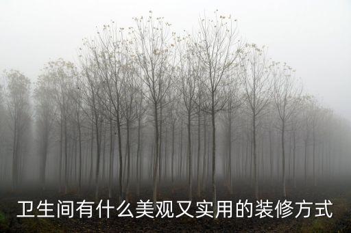 衛(wèi)生間有什么美觀又實(shí)用的裝修方式