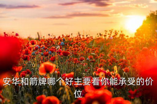 安華和箭牌哪個(gè)好主要看你能承受的價(jià)位
