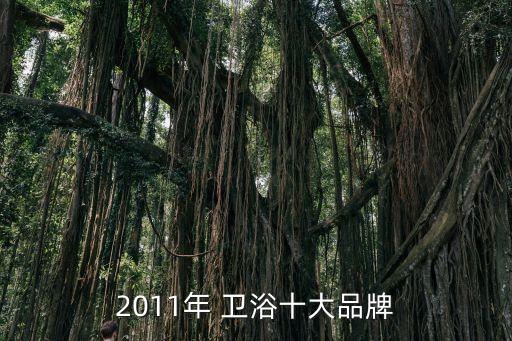 2011年 衛(wèi)浴十大品牌
